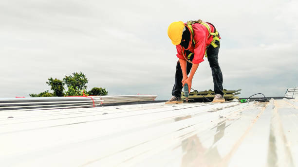 Best 4 Ply Roofing  in Lmyra, PA